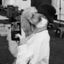 likealittlepieceofheaven avatar