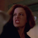 likealizardyousay avatar