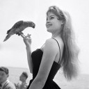 likeallbeforeyou avatar