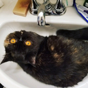 likeandlovegood avatar