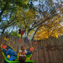 likearollingkimstone avatar