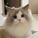 likeastickaaaa avatar