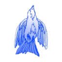 likefireatsea avatar