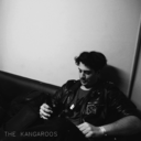 likekangaroos-blog avatar