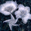 likelovereblog avatar