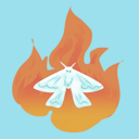 likemothstotheflame avatar