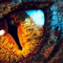 likes-of-a-dragon avatar