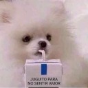 likesurviving avatar