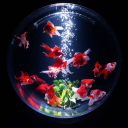 likethewizardyk avatar