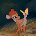 lil-bambi-princess avatar