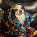 lil-hopeless-romantic avatar