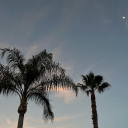 lil-miss-thang avatar