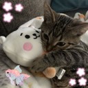 lil-ocean-kiddo avatar