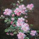 lilac-baby-blog avatar