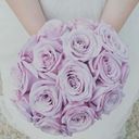 lilac-rose-bouquet avatar