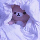 lilacc-little avatar