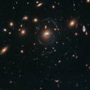 lilaccreationz avatar