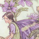 lilacdream981 avatar