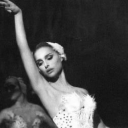 lilacheavenblog avatar