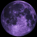 lilacmoonlight avatar
