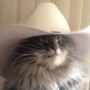 lilacnuisance avatar