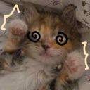 lilacwhiskers avatar