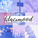 lilacxmood avatar