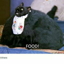 lilalaune-land avatar