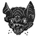 lilbrownmyotis avatar