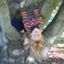 lilcd-blog-blog avatar