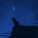 lildashofheaven1 avatar