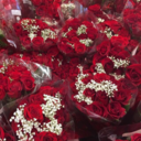 lilgrreenghouls avatar