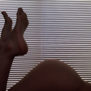 lilianboehmer avatar