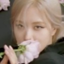 lilies-things avatar