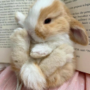 lilisiharaj-blog avatar