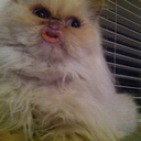 lilithin-gunlugu avatar