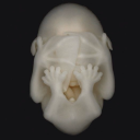 lillesillebille avatar