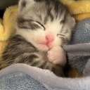 lilllyyyofthe-valley avatar