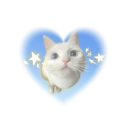 lilmeow2star avatar