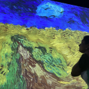 lilmissconfusion avatar