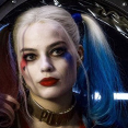 lilmonsterharlequin avatar