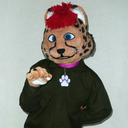 lilocat87original avatar