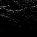 lilollielolly avatar