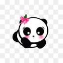 lilpandaprincessme avatar