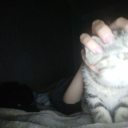 liltjaybetter avatar