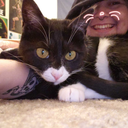 liltrashwitch avatar