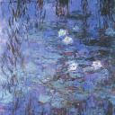 lilwaterlilies avatar