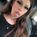 lilxshrimp avatar