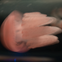 lily-of-the-valley-2001 avatar