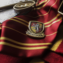 lilyandthemarauderss avatar